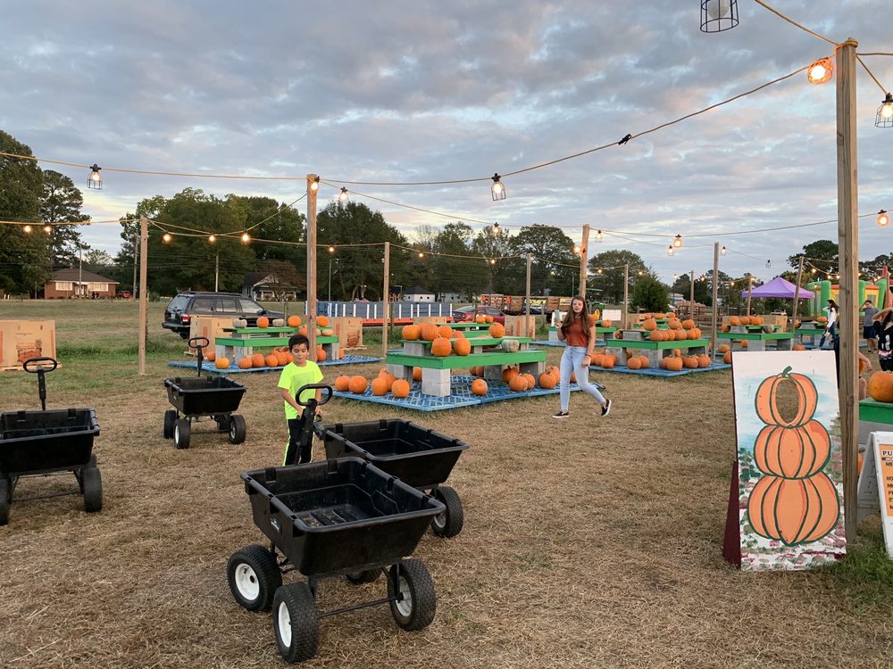 CHUBBY’S PUMPKIN PATCH 83 Photos & 14 Reviews 1325 S Battlefield