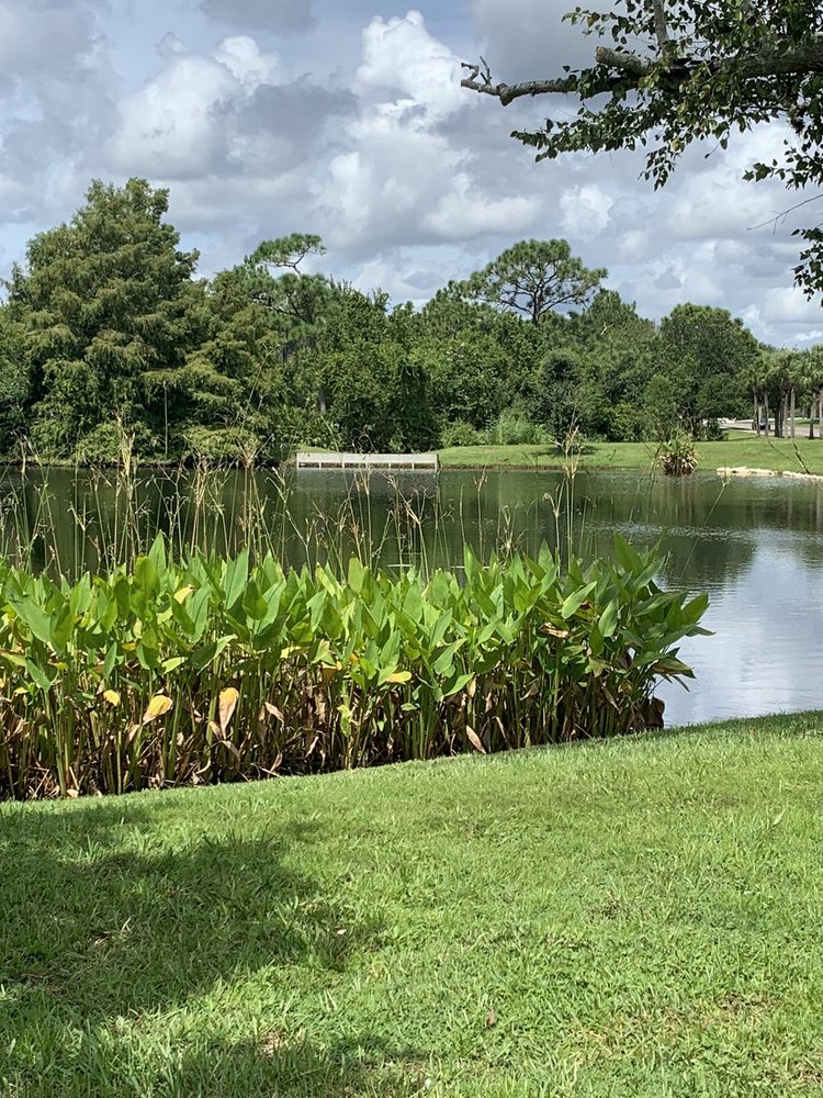 Osprey Park Image