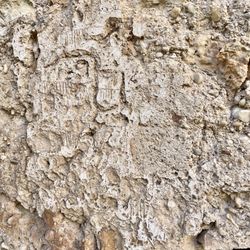 Castillo de Xativa - Islamic graffitis
