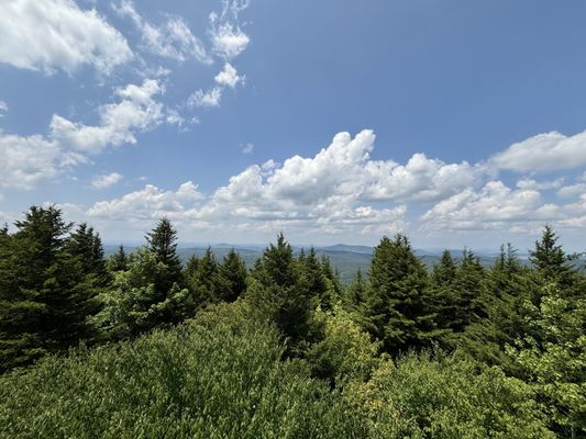 Spruce Knob by null
