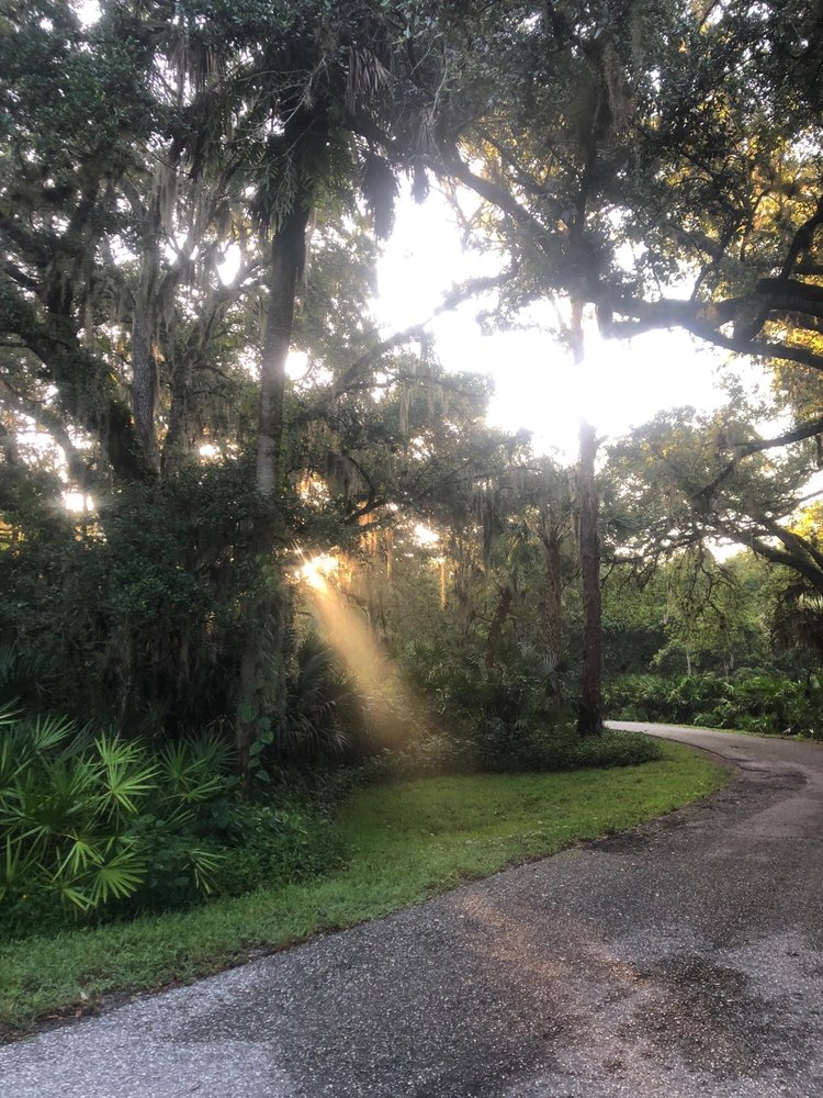 HAZELTINE NURSERIES 54 Photos & 10 Reviews 2401 N River Rd, Venice