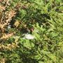Photo of R G Landscaping