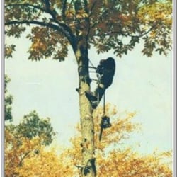 Trees Plus Tree Service