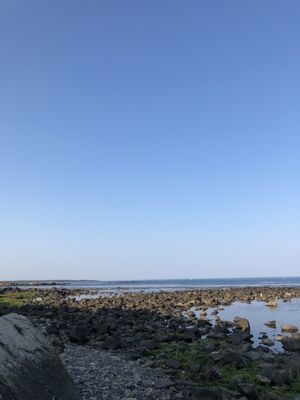 Jenness State Beach by null