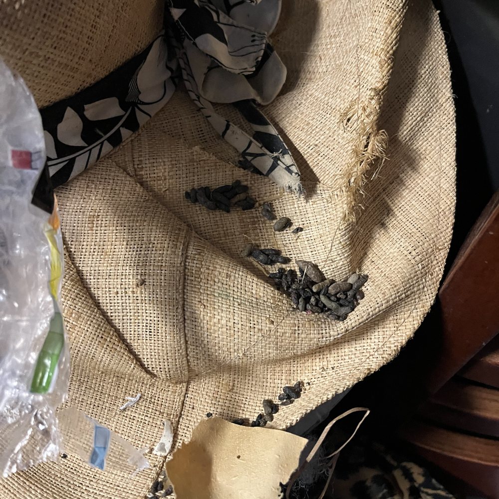 Public Storage - Rat feces on my stuff - Self Storage Near Me - Norfolk, Virginia