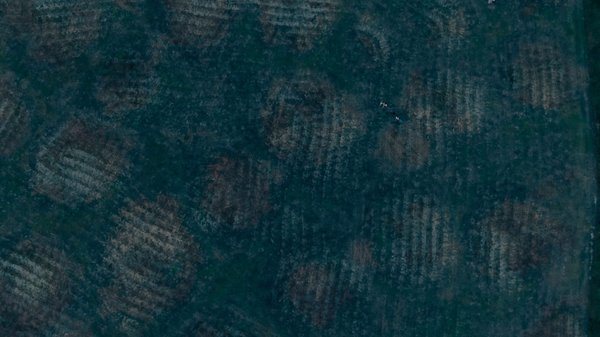 Knife River Indian Villages National Historic Site by null