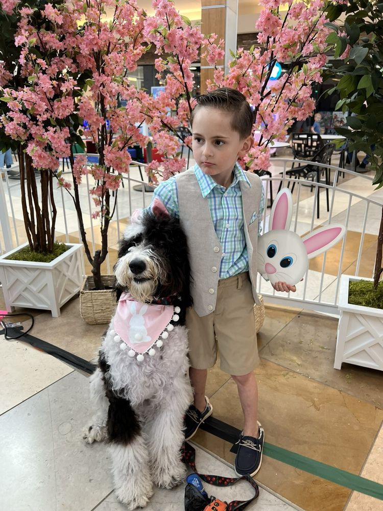 WOOF GANG BAKERY & GROOMING ALEXANDRIA Updated September 2024 59