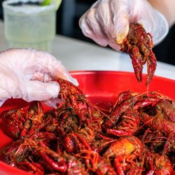 Shell Shack - Crawfish Seafood boil at Shell Shack.