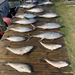 Kahuna Charters - Most recent catch