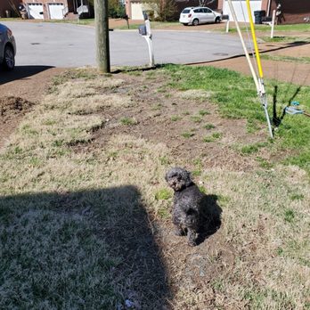 Turf Masters Lawn Care - Tree Services Near Me - Spring Hill, Tennessee Turf Masters Lawn Care - Tree Services Near Me - Spring Hill, Tennessee