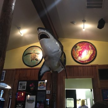 Live Bait - Bars Near Me - Orange Beach, Alabama Live Bait - Bars Near Me - Orange Beach, Alabama