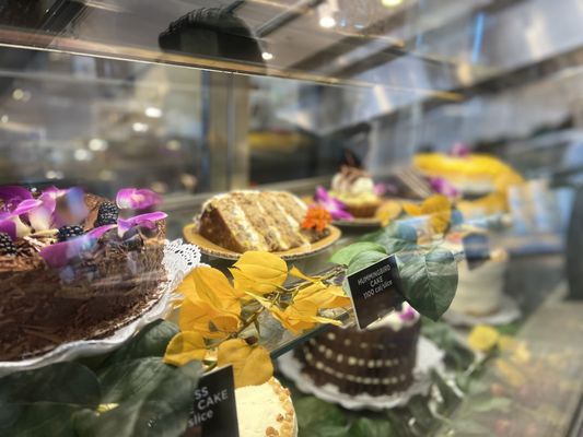 Urban Plates by null