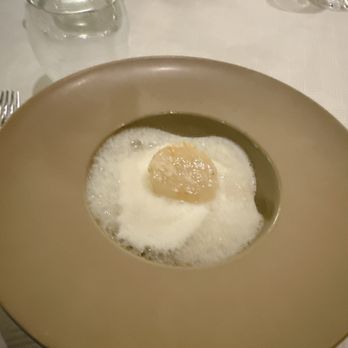 Aquavit - Scallop and Cauliflower - Scandinavian Near Me - New York, New York