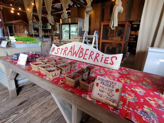 Pie Ranch by null