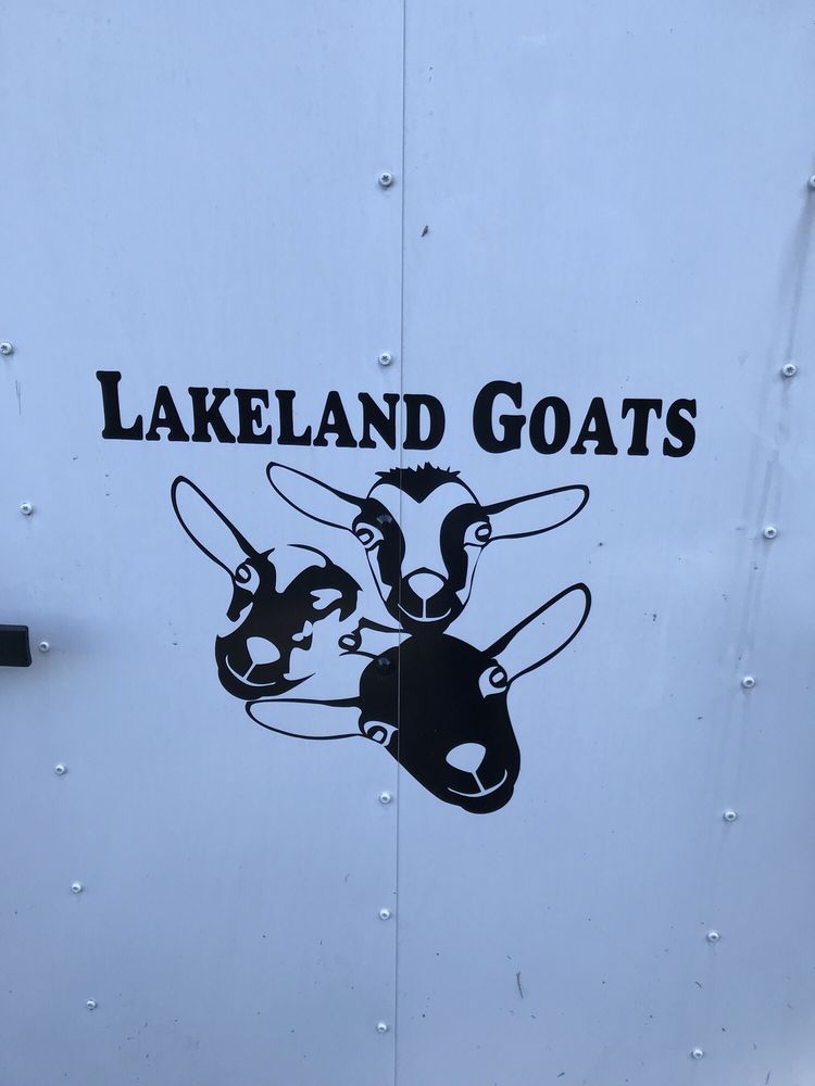 Lakeland goats/ horse boarding - equestrian in Flowood, MS