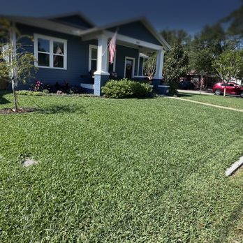 Best Termite & Pest Control - Before - Pest Control Near Me - Tampa, Florida Best Termite & Pest Control - Before - Pest Control Near Me - Tampa, Florida