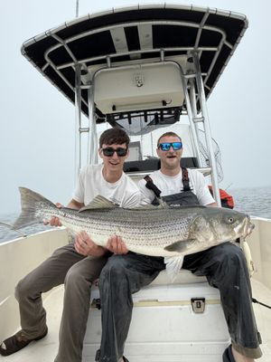 Trophy Striped Bass Trips - Welcome to Migration Destination Outfitters! If you’re interested in booking a trophy striped bass trip please check out our portfolio below. For availability, please call/text 631-621-8981