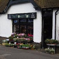 Flower Pot