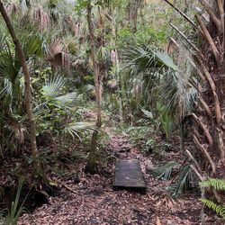 Alafia Scrub Nature Preserve