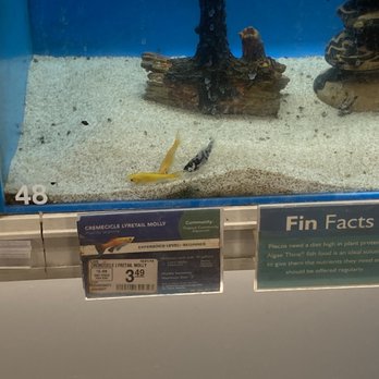 PetSmart - Pet Training Near Me - Lafayette, Indiana PetSmart - Pet Training Near Me - Lafayette, Indiana