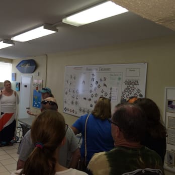 The Turtle Hospital - Turtle class - Veterinarians Near Me - Marathon, Florida