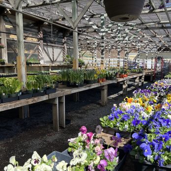 Valhalla Garden Center - Nurseries & Gardening Near Me - Valhalla, New York Valhalla Garden Center - Nurseries & Gardening Near Me - Valhalla, New York