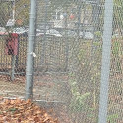 Batting cages abandoned looking disused decay