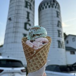 Rich Farm Ice Cream Shop - Razzmanian Devil & Cookie Monster in a small waffle cone