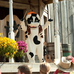 Old West Pumpkin Fest - Daisy the Cow in our live stage show