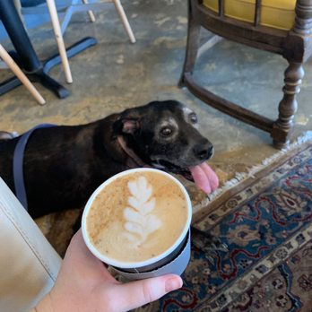Serafina Coffee Roasters - Coffee & Tea Near Me - Phoenix, Arizona