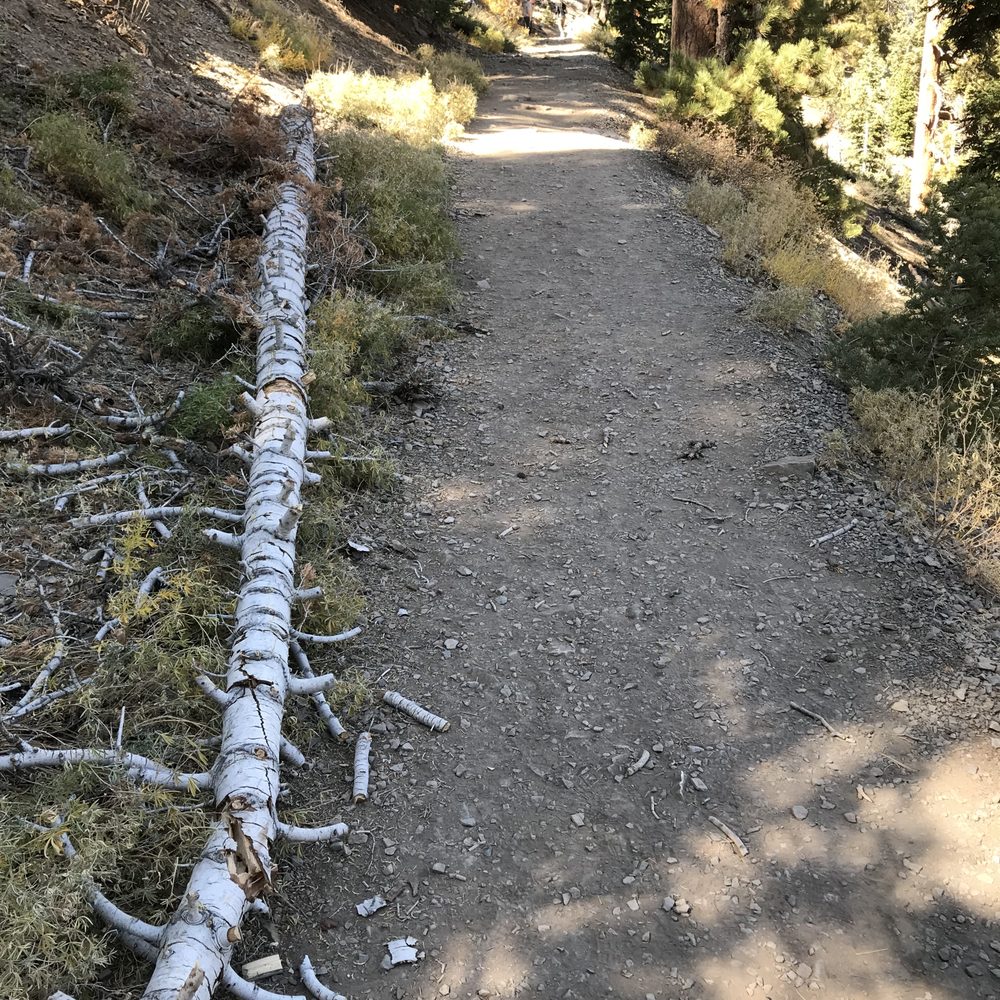 Cathedral Rock - Hiking Near Me - Mt Charleston, Nevada