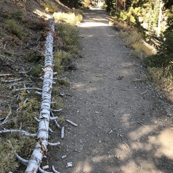 Cathedral Rock - Hiking Near Me - Mt Charleston, Nevada