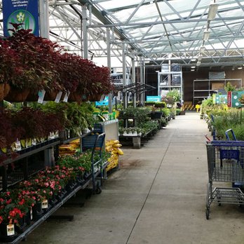 Lowe's Home Improvement - Outdoor floral department - Hardware Stores Near Me - Louisville, Kentucky Lowe's Home Improvement - Outdoor floral department - Hardware Stores Near Me - Louisville, Kentucky