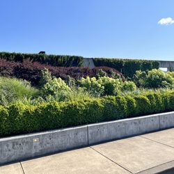 Ponzi Vineyards - Winery