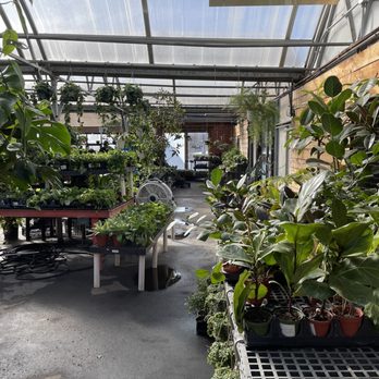 Rolling Ridge Nursery - Nurseries & Gardening Near Me - Webster Groves, Missouri