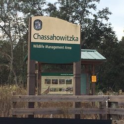 Suncoast Trail - Chassahowitzka Wildlife Management Area