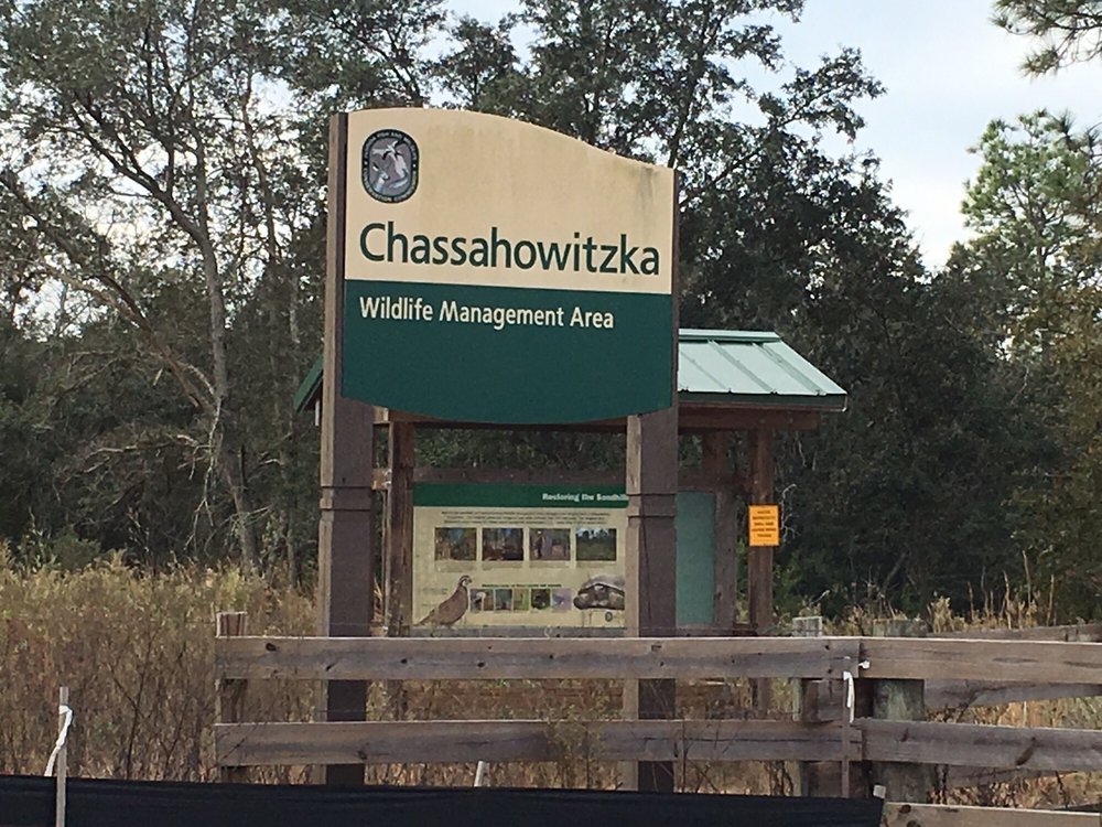 Suncoast Trail Image