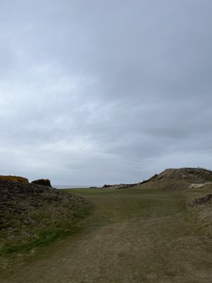 Bandon Dunes Golf Resort - Pacific Dunes by null