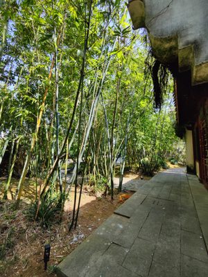 Fukushūen Garden by null