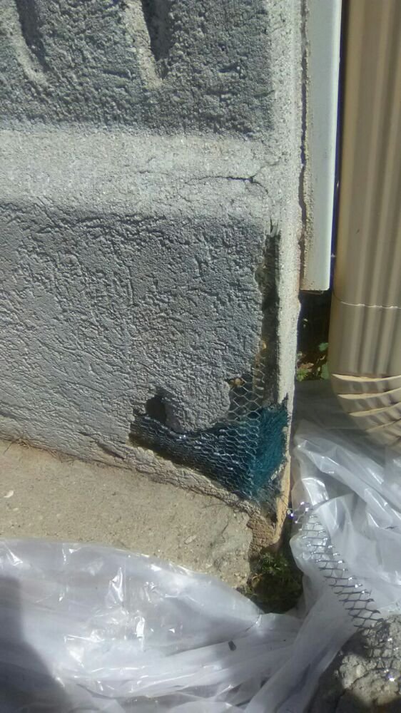 Slide of Supreme 1 Restorations