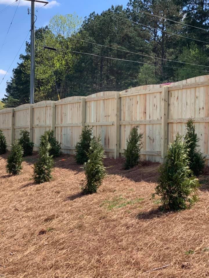 Slide of All South Fence