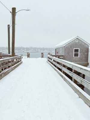 Casco Bay Lines by null