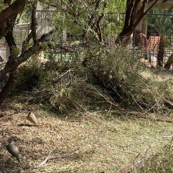 Thanx Bubba - Landscaping Near Me - Las Vegas, Nevada Thanx Bubba - Landscaping Near Me - Las Vegas, Nevada