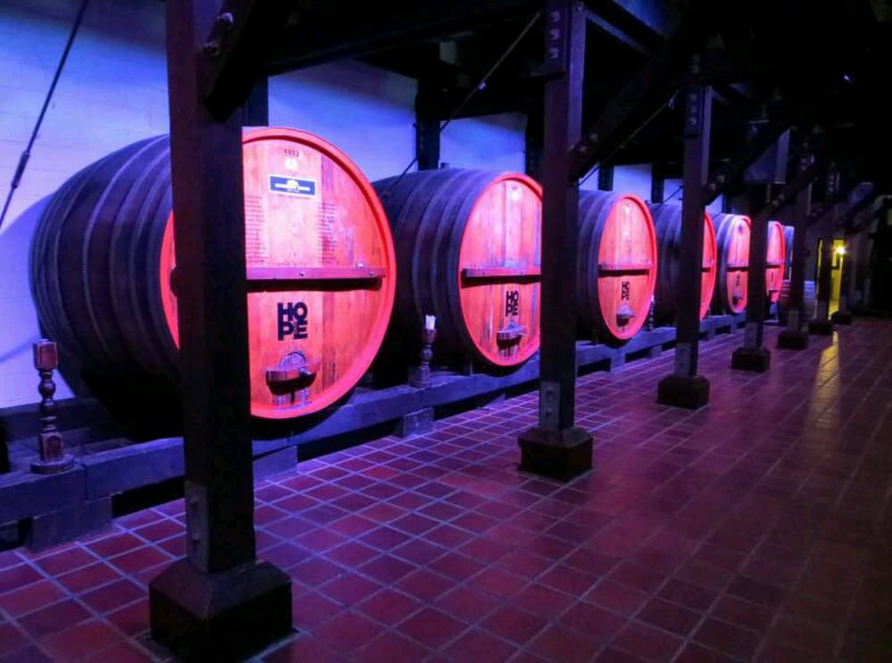 HOPE ESTATE Updated September 2024 11 Photos 2213 Broke Rd, Pokolbin New South Wales