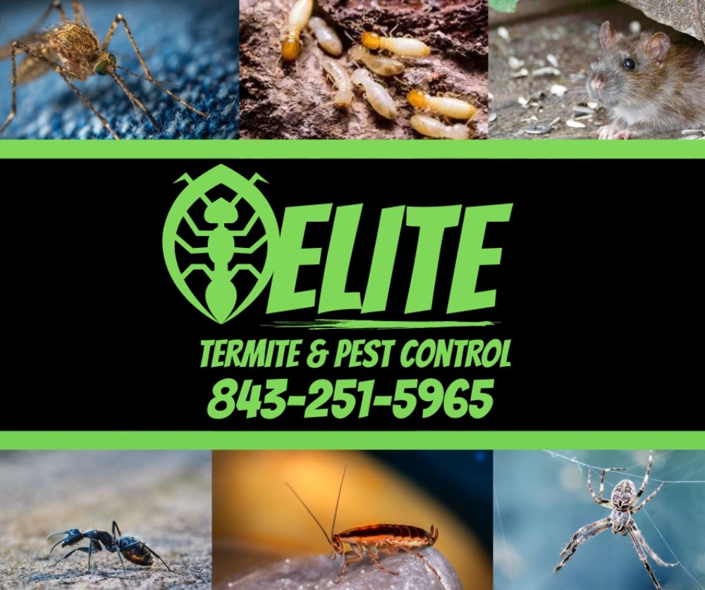 ELITE TERMITE & PEST CONTROL Updated September 2024 Myrtle Beach, South Carolina Pest