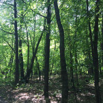 father hennepin state park - Wooded areas - Campgrounds Near Me - Isle, Minnesota