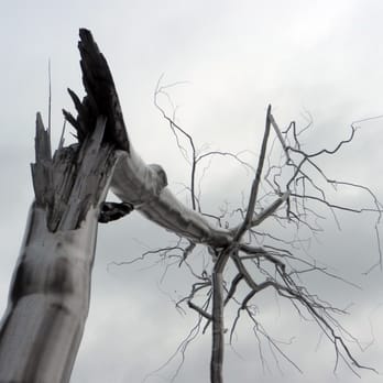 Iroquois Sculpture - Roxy Paine; Symbiosis; 2011, installed 2014; stainless steel - Art Galleries Near Me - Philadelphia, Pennsylvania Iroquois Sculpture - Roxy Paine; Symbiosis; 2011, installed 2014; stainless steel - Art Galleries Near Me - Philadelphia, Pennsylvania
