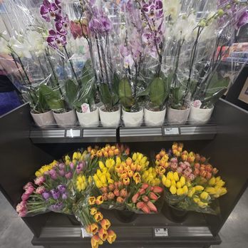 Aldi - Grocery Near Me - Gilbert, Arizona