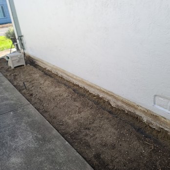 Superior Landscaping Service - Hedge removed. - Landscaping Near Me - San Carlos, California Superior Landscaping Service - Hedge removed. - Landscaping Near Me - San Carlos, California