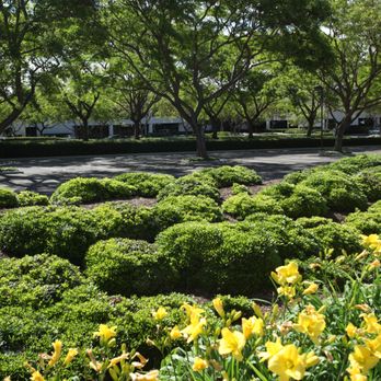 Kitson Landscape Management - Landscaping Near Me - Goleta, California Kitson Landscape Management - Landscaping Near Me - Goleta, California